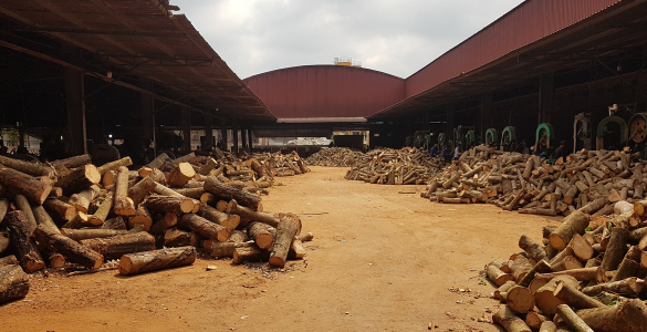 Xưởng 2 gỗ Phúc Thịnh Bình Phước